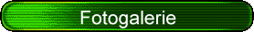 Fotogalerie